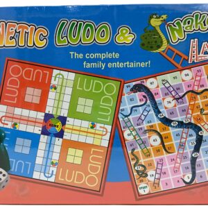 Magnetic Ludo