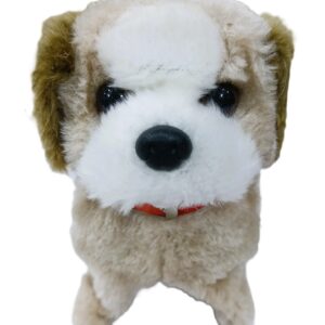 Cute Puppy